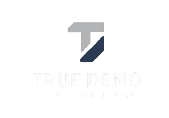 True Demo logo